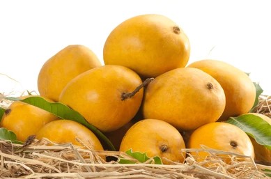 Mango (Hapus / Alphonso) Ratnagiri